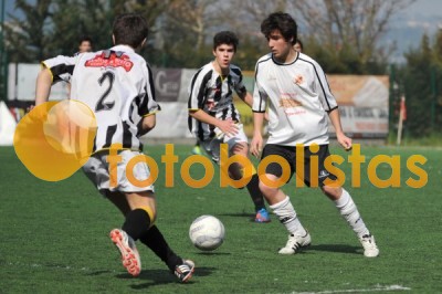 Lusitano Vildemoinhos-Penalva do Castelo