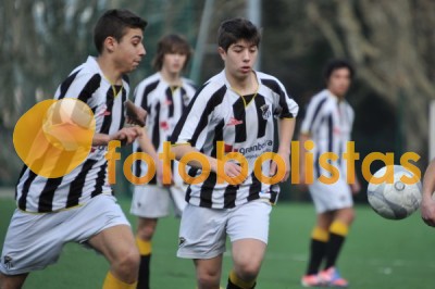 Lusitano Vildemoinhos-Penalva do Castelo