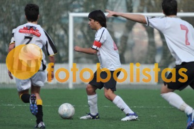 Lusitano Vildemoinhos-Penalva do Castelo