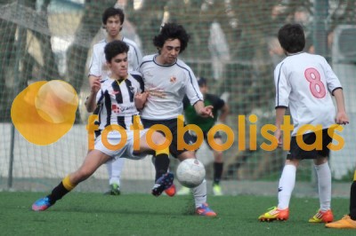 Lusitano Vildemoinhos-Penalva do Castelo