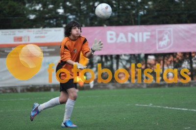 Lusitano Vildemoinhos-Penalva do Castelo