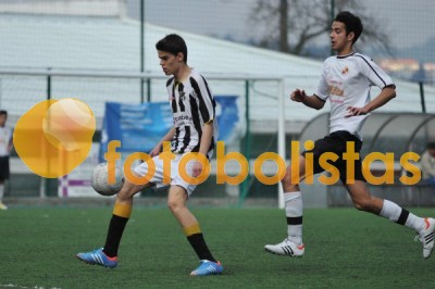 Lusitano Vildemoinhos-Penalva do Castelo