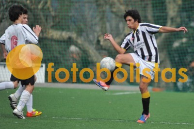 Lusitano Vildemoinhos-Penalva do Castelo