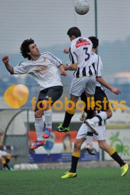 Lusitano Vildemoinhos-Penalva do Castelo