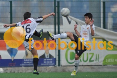 Lusitano Vildemoinhos-Penalva do Castelo