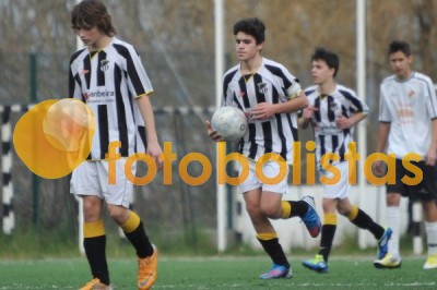 Lusitano Vildemoinhos-Penalva do Castelo