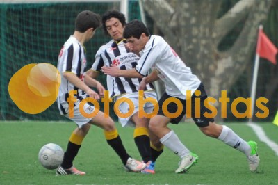 Lusitano Vildemoinhos-Penalva do Castelo