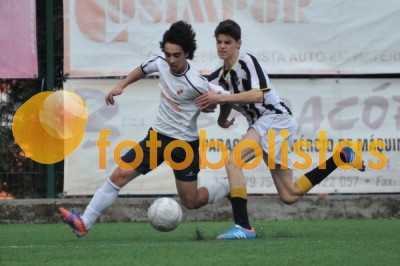 Lusitano Vildemoinhos-Penalva do Castelo