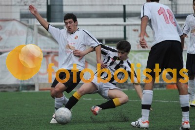 Lusitano Vildemoinhos-Penalva do Castelo