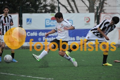 Lusitano Vildemoinhos-Penalva do Castelo