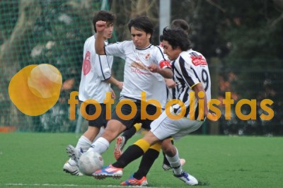 Lusitano Vildemoinhos-Penalva do Castelo