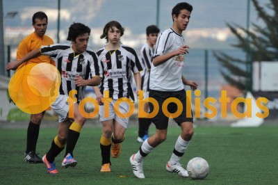 Lusitano Vildemoinhos-Penalva do Castelo