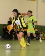 Lourosa-Amupb