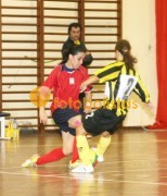 Lourosa-Vilamaiorense