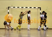 Lourosa-Vilamaiorense