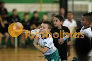 Festa do Andebol