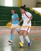 Aveiro-Viseu