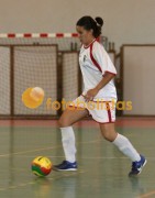 Aveiro-Viseu