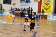 Andebol: Feirense - Artística Avanca (Minis)
