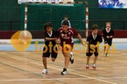 Andebol: São Bernardo - Artística Avanca (Minis)
