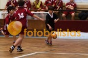 Andebol: São Bernardo - Artística Avanca (Minis)