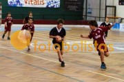 Andebol: São Bernardo - Artística Avanca (Minis)