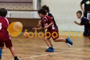 Andebol: São Bernardo - Artística Avanca (Minis)