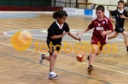 Andebol: São Bernardo - Artística Avanca (Minis)