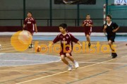 Andebol: São Bernardo - Artística Avanca (Minis)