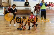 Andebol: São Bernardo - Artística Avanca (Minis)