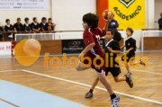 Andebol: São Bernardo - Artística Avanca (Minis)