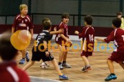 Andebol: São Bernardo - Artística Avanca (Minis)
