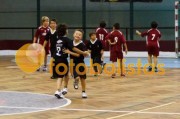 Andebol: São Bernardo - Artística Avanca (Minis)