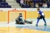 Hóquei em Patins: FC Porto - AA Espinho